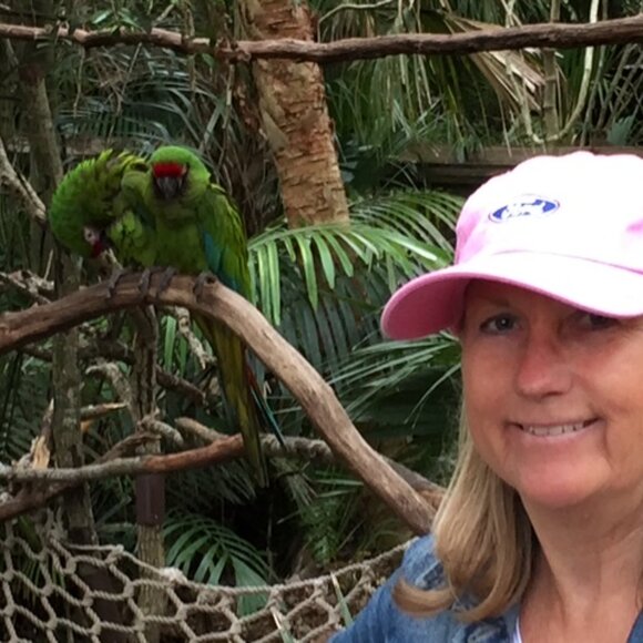 Five ⭐️ Seller - Fast Shipper! - Picture 6 of 15